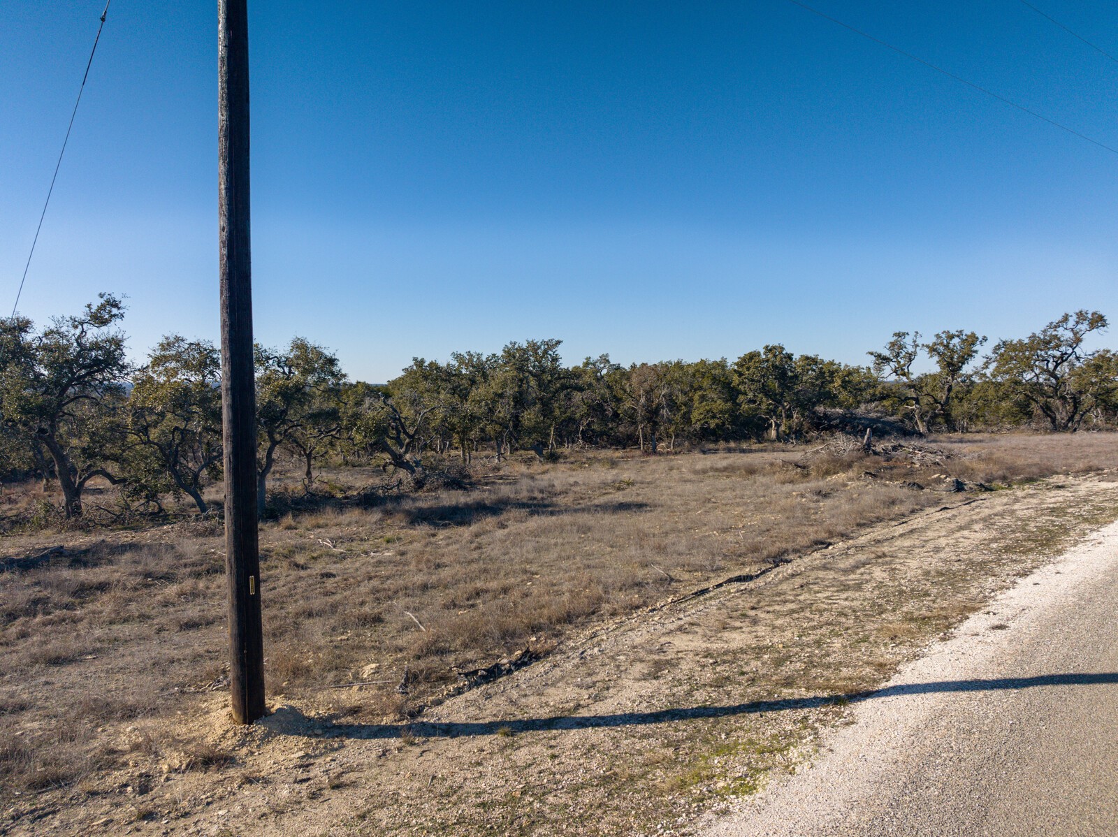 642 Windmill Ridge Drive Blanco, TX 78606 - Photo 13 of 29 a view of a dry yard with trees