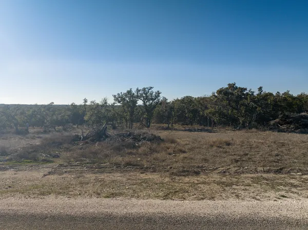 a view of a dry yard with trees
