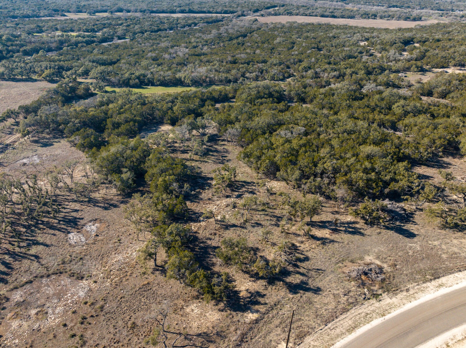 642 Windmill Ridge Drive Blanco, TX 78606 - Photo 17 of 29 a view of a yard with a plants