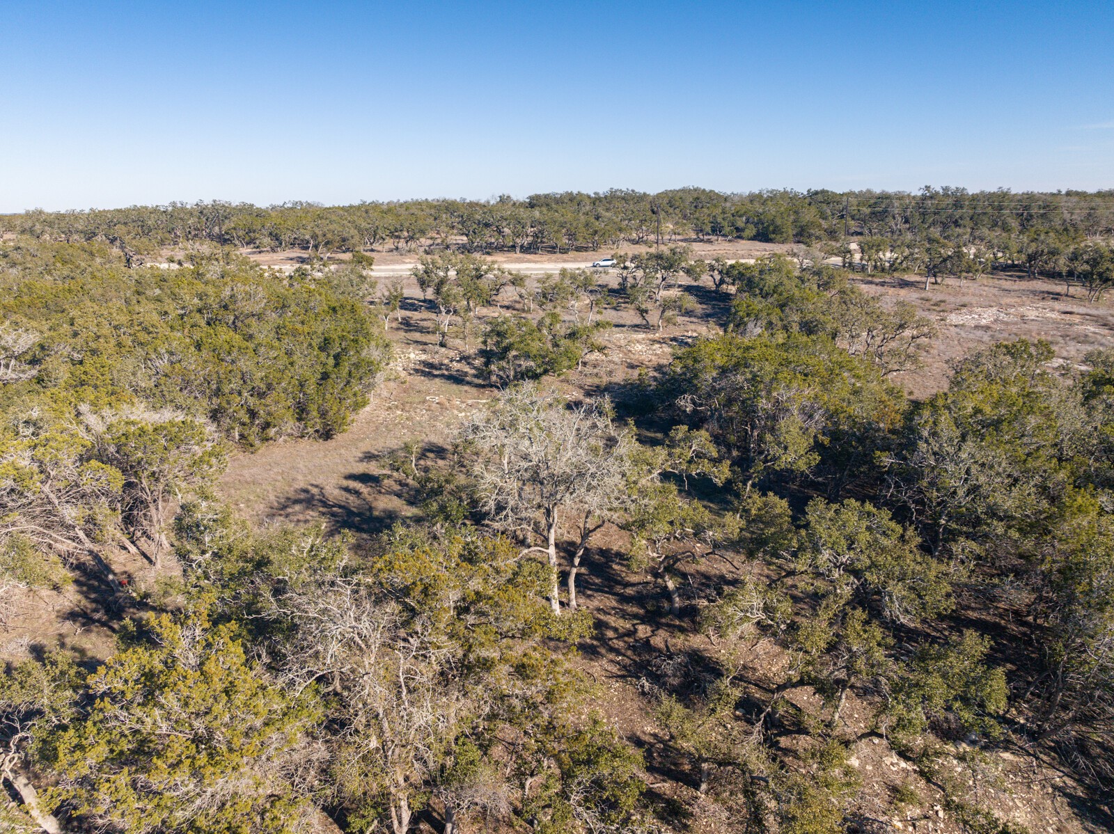 642 Windmill Ridge Drive Blanco, TX 78606 - Photo 8 of 29 a view of a forest with mountains in the background