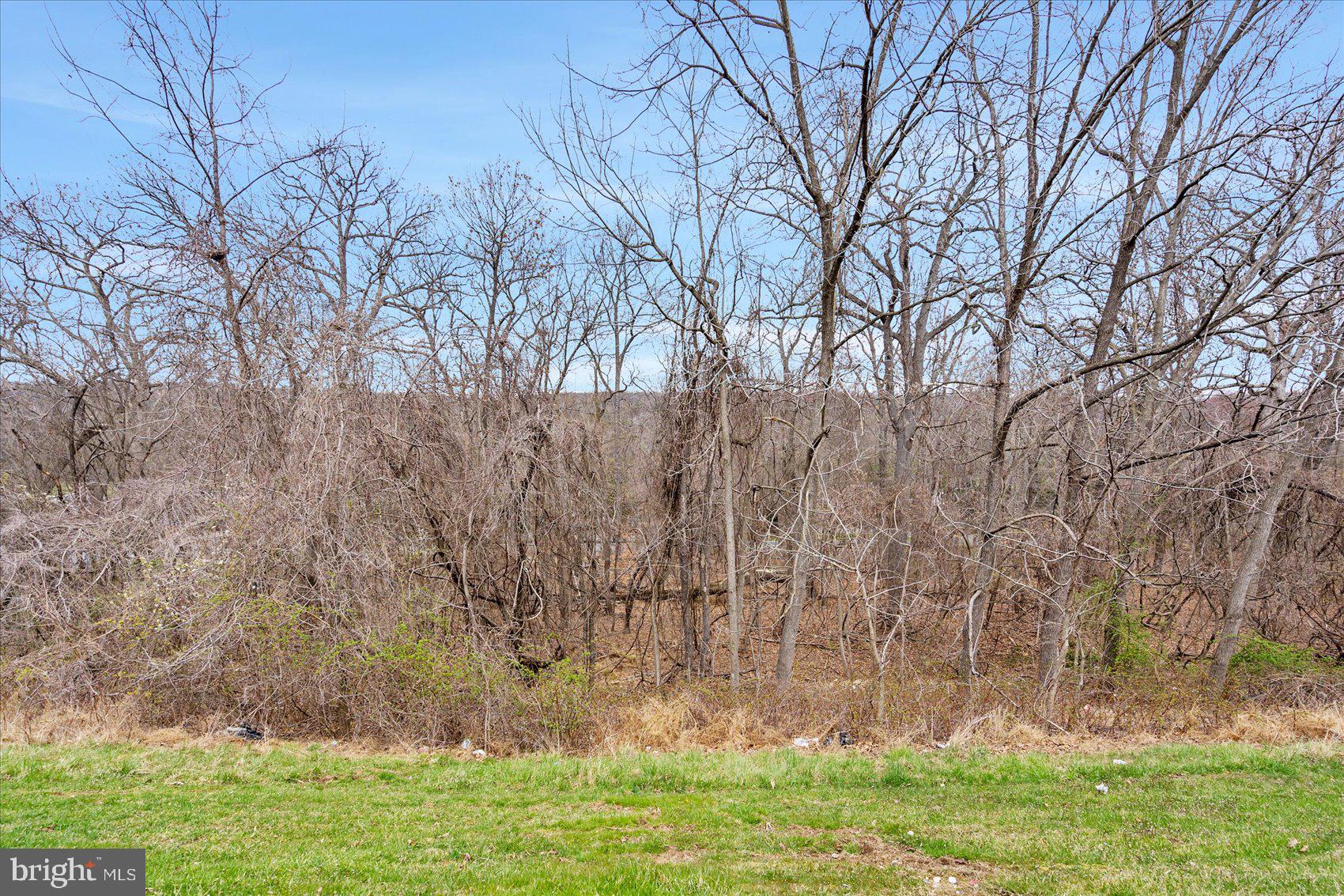124 Spectator Lane Owings Mills, MD 21117 - Photo 25 of 46