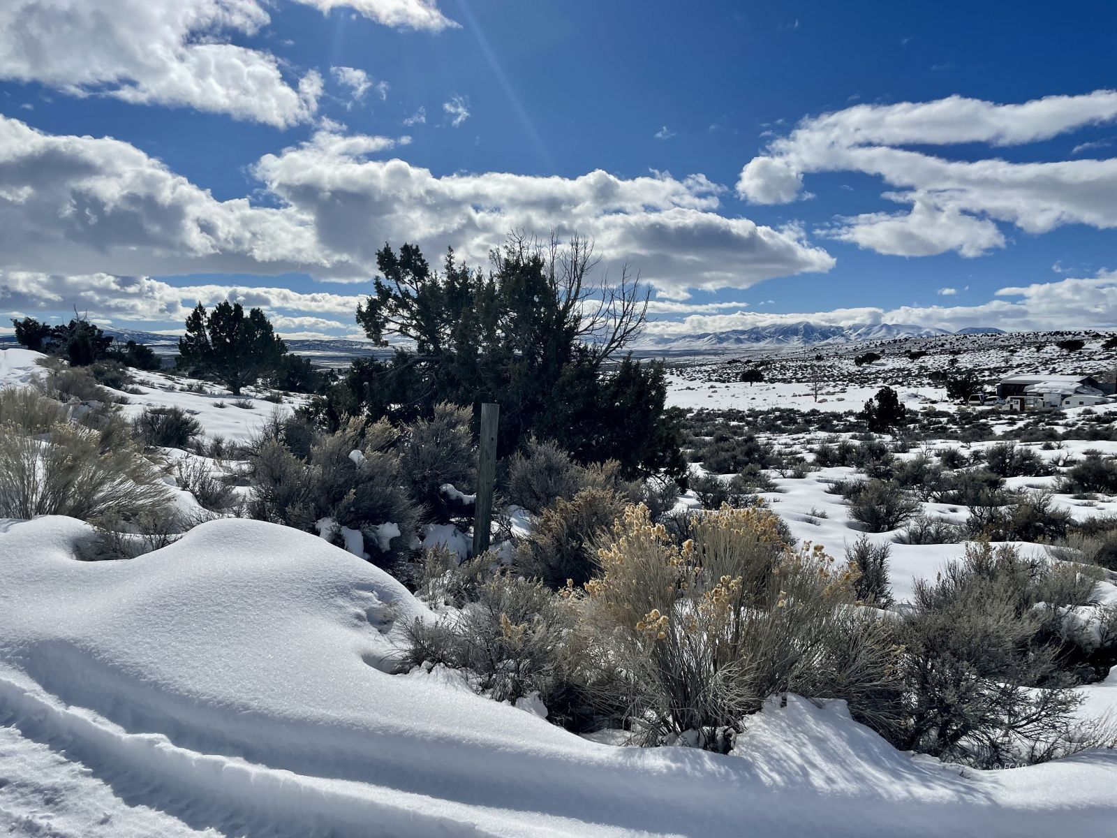 Grant Ave Spring Creek Spring Creek, NV 89815 - Photo 5 of 6