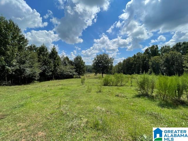 95 County Road, Unit 26 78 Wedowee, AL 36278 - Photo 2 of 10