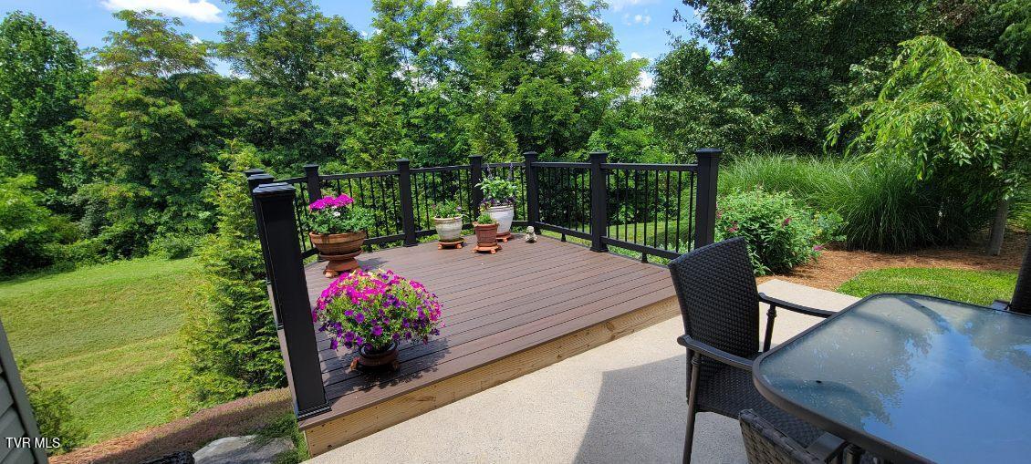687 Suffolk Road Johnson City, TN 37615 - Photo 22 of 25 Open Deck