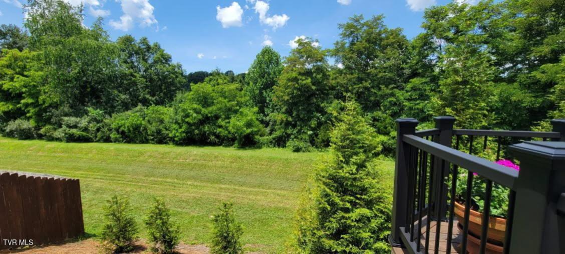 687 Suffolk Road Johnson City, TN 37615 - Photo 23 of 25 View to protected green space
