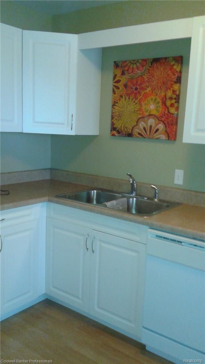 32005 Twelve Mile Road, Unit 207 Farmington, MI 48334 - Photo 3 of 15 Stainless double sink