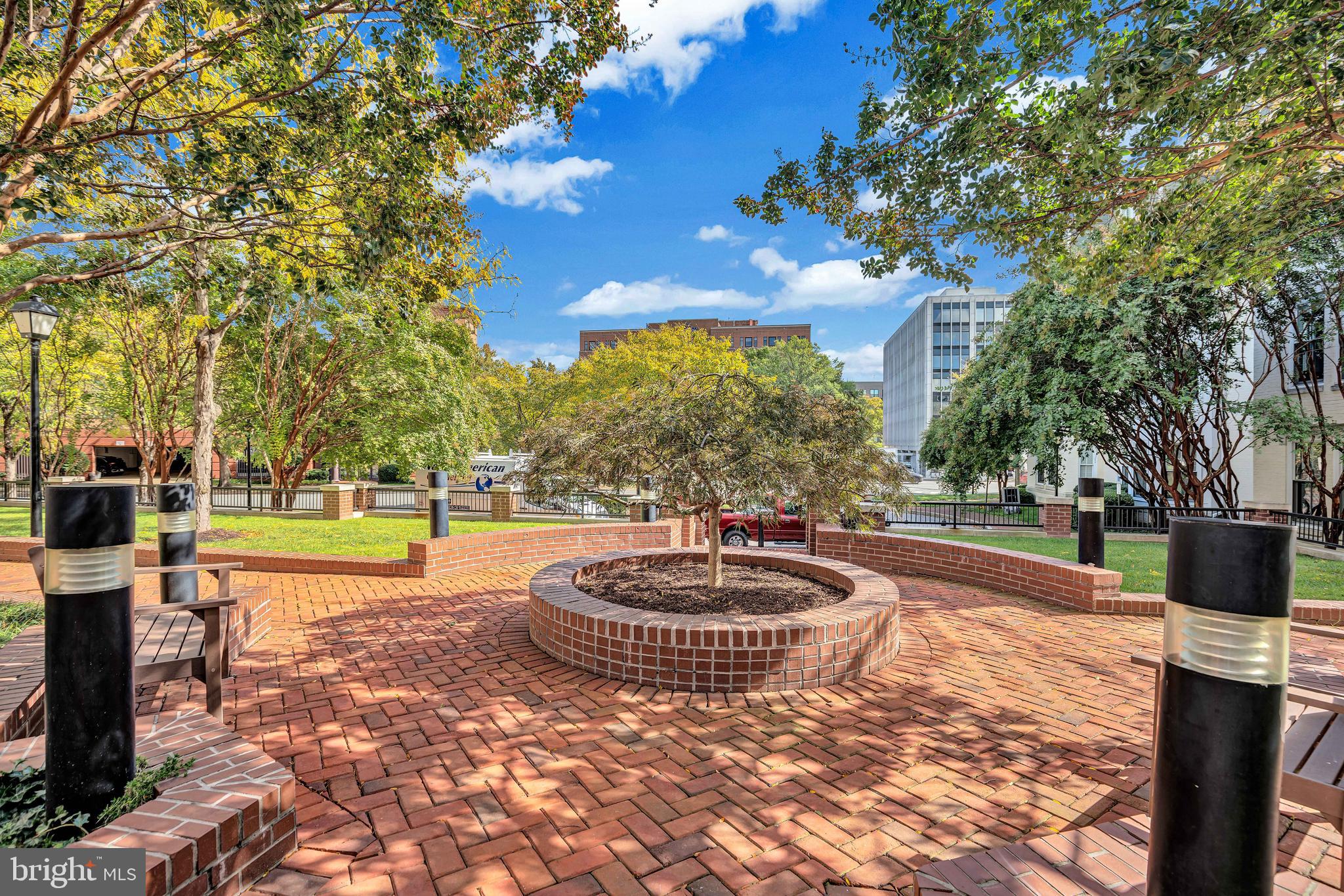910 Powhatan Street, Unit 104N Alexandria, VA 22314 - Photo 24 of 60 a outdoor space with pool and trees