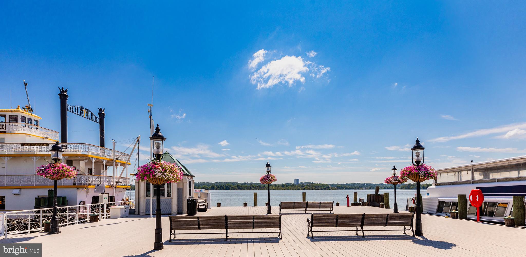 910 Powhatan Street, Unit 104N Alexandria, VA 22314 - Photo 51 of 60 a view of a living room with furniture