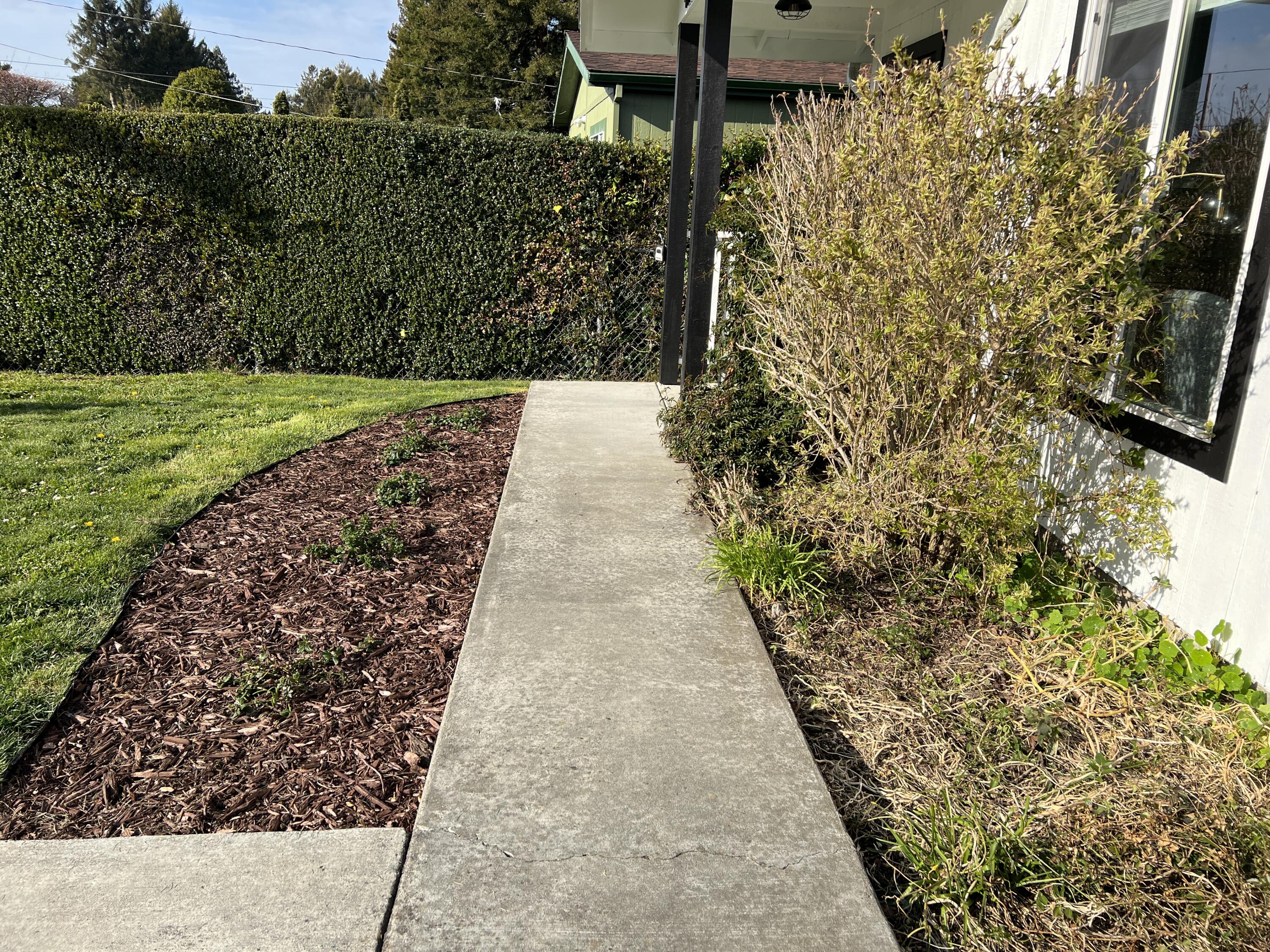 4199 Excelsior Road Eureka, CA 95503 - Photo 4 of 81