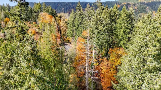 $290,000 | 18313 Patterson Road East, Orting, WA 98360