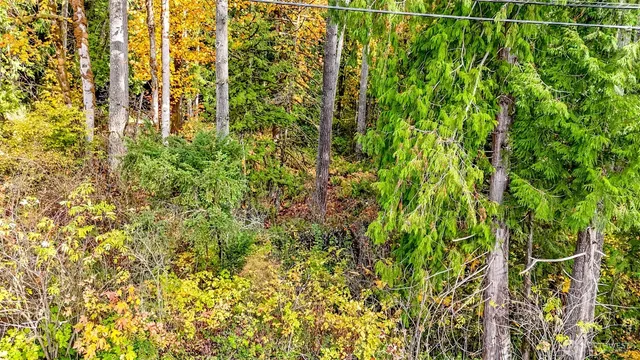 $290,000 | 18313 Patterson Road East, Orting, WA 98360