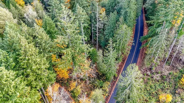 a close up of a plant