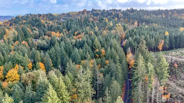 a view of a city with lush green forest