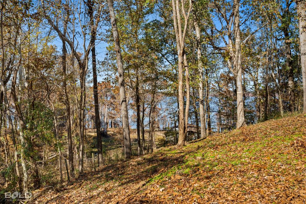 333 Canal Street Ringgold, LA 71068 - Photo 23 of 33 a view of a yard with large trees
