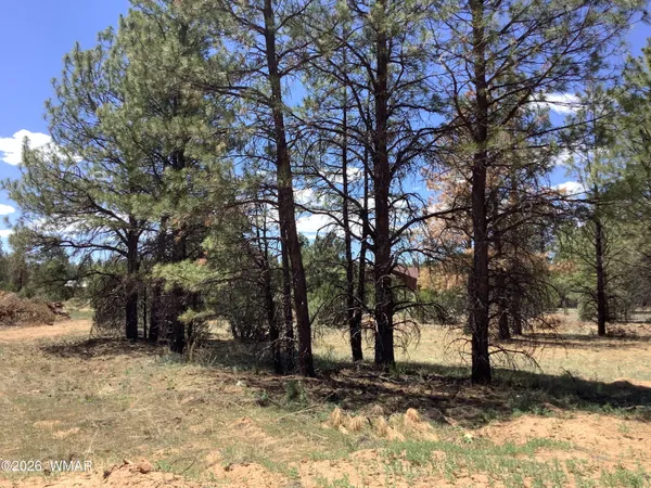 $79,000 | Tbd Tbd Cedar Bark Trail, Overgaard, AZ 85933