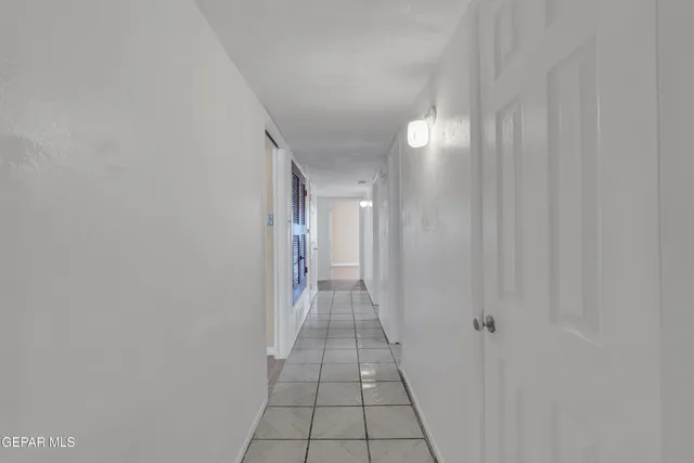 a view of a yard with plants and a large tree