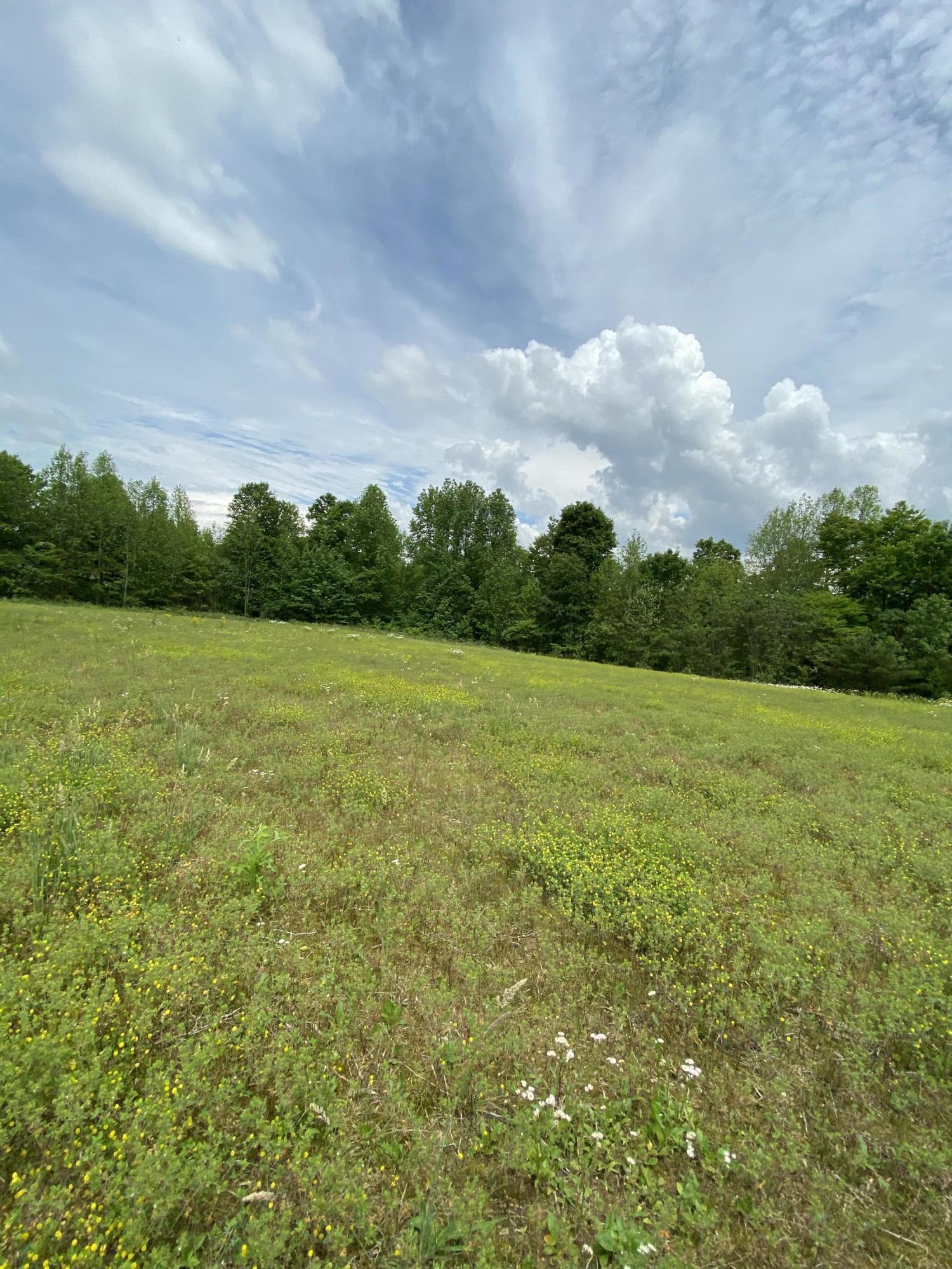 123 South Fork Ridge Road Liberty, KY 42539 - Photo 23 of 28 40DBD817-B26A-4586-BCE4-372055B71E61<|>P