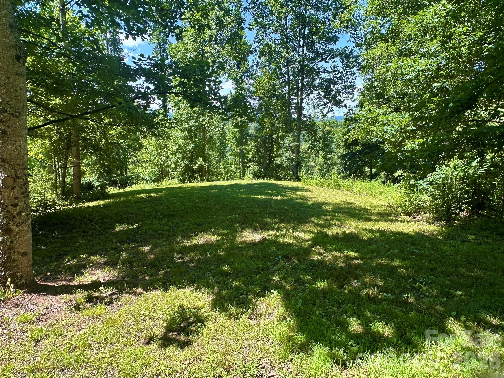 2825 Harrell Hill Road Bakersville, NC 28705 - Photo 42 of 47