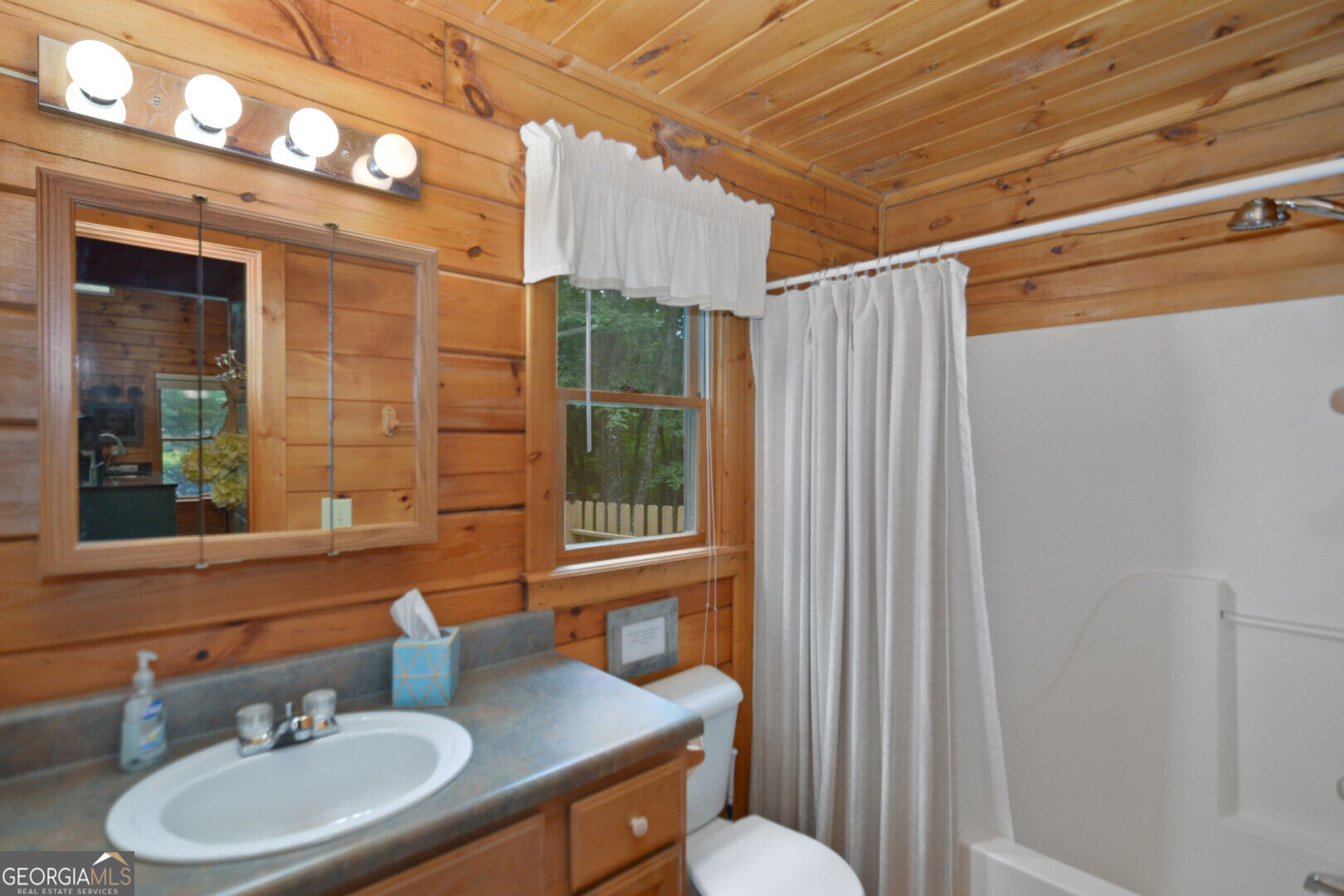 145 Lake Ridge Drive Blue Ridge, GA 30513 - Photo 20 of 21 Gallery Image 20