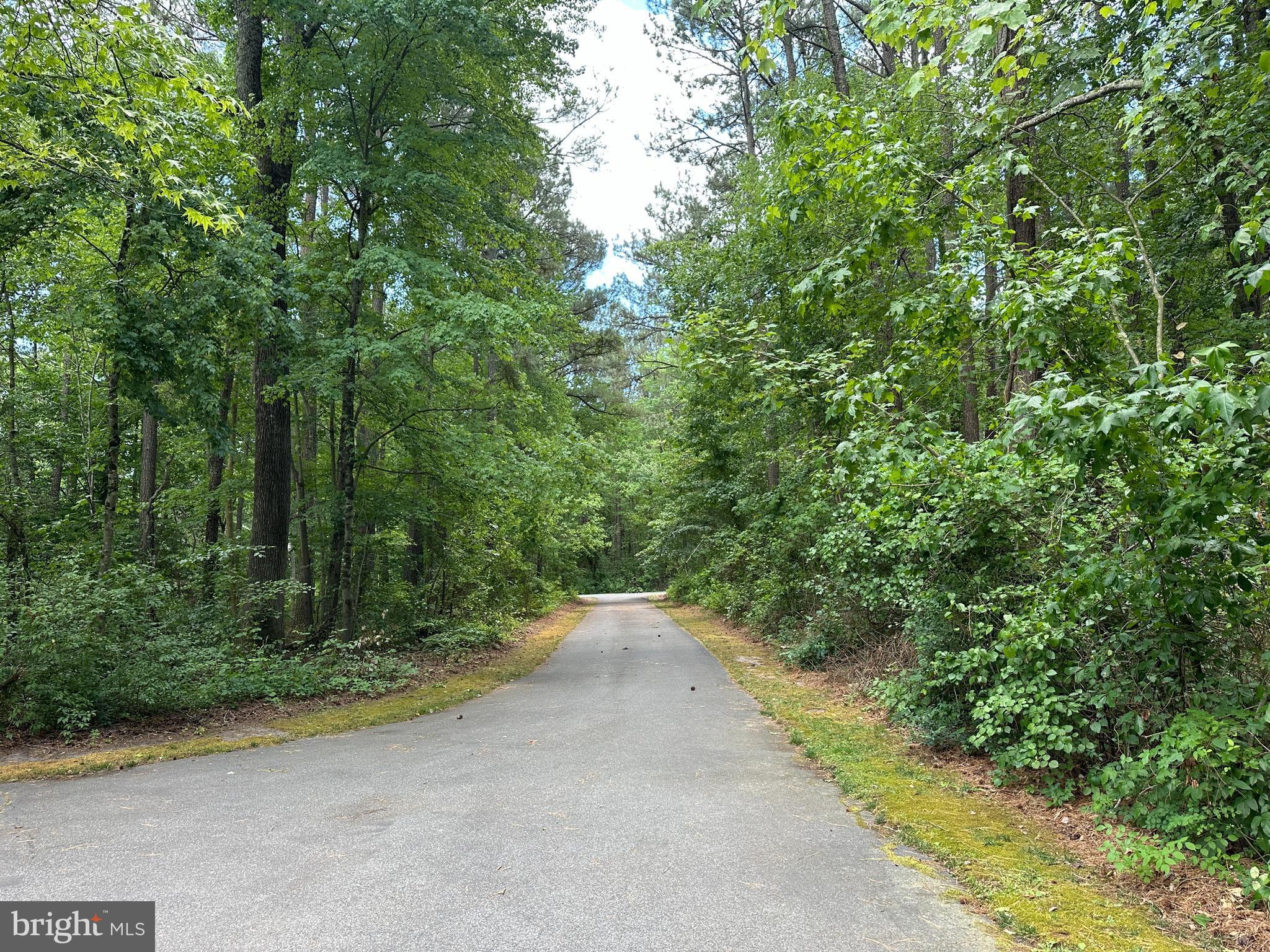 28440 Bloomery Road Federalsburg, MD 21632 - Photo 85 of 94