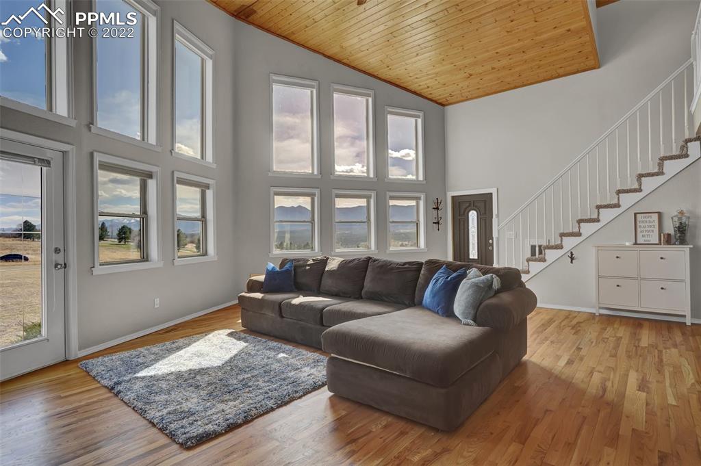 545 Struthers Loop Colorado Springs, CO 80921 - Photo 11 of 44 a living room with furniture and a rug