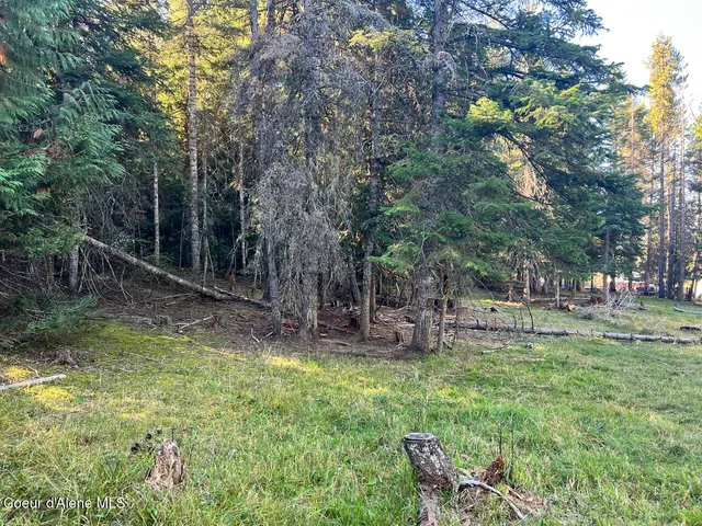 $79,900 | Nka Happy Valley Lane, St. Maries, ID 83861