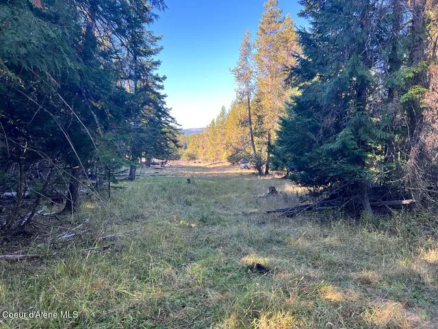 $79,900 | Nka Happy Valley Lane, St. Maries, ID 83861