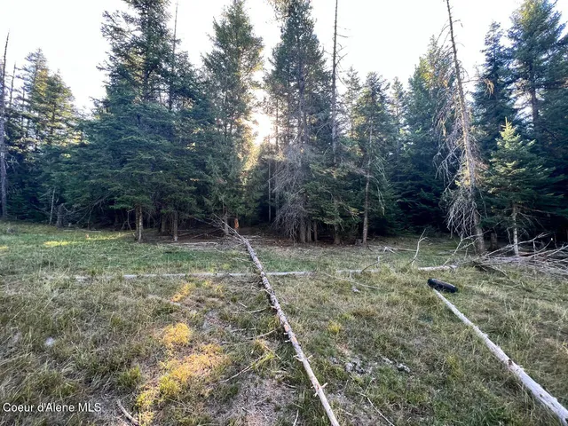 $79,900 | Nka Happy Valley Lane, St. Maries, ID 83861