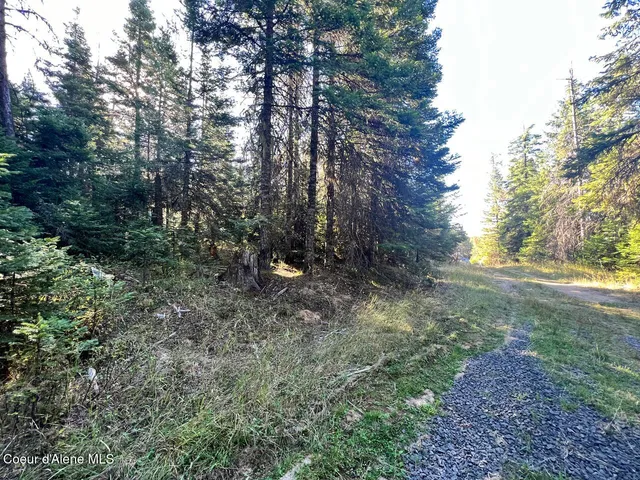 $79,900 | Nka Happy Valley Lane, St. Maries, ID 83861