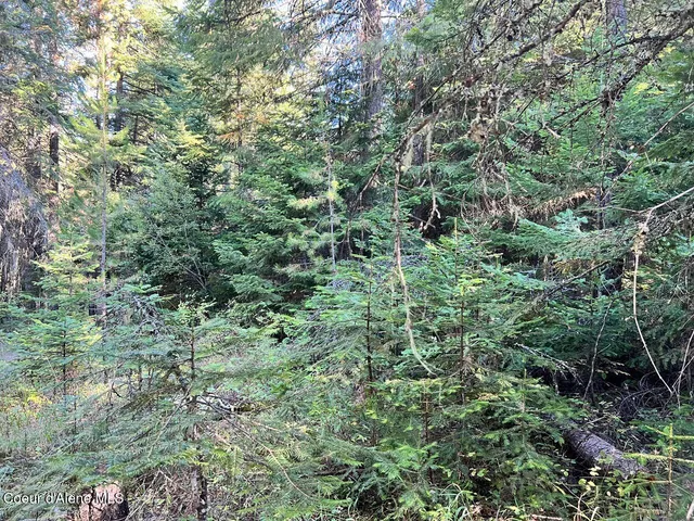 $79,900 | Nka Happy Valley Lane, St. Maries, ID 83861