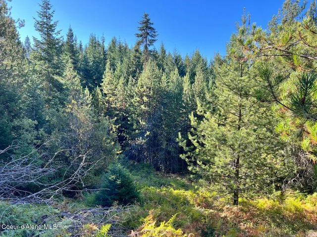 $79,900 | Nka Happy Valley Lane, St. Maries, ID 83861