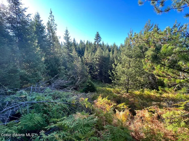 $79,900 | Nka Happy Valley Lane, St. Maries, ID 83861