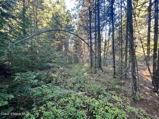 $79,900 | Nka Happy Valley Lane, St. Maries, ID 83861