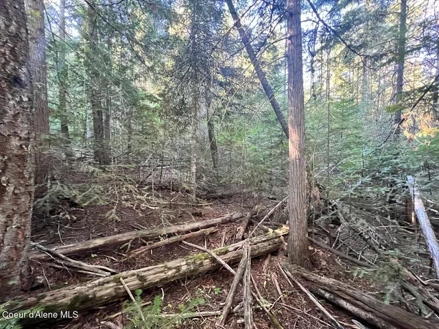 $79,900 | Nka Happy Valley Lane, St. Maries, ID 83861