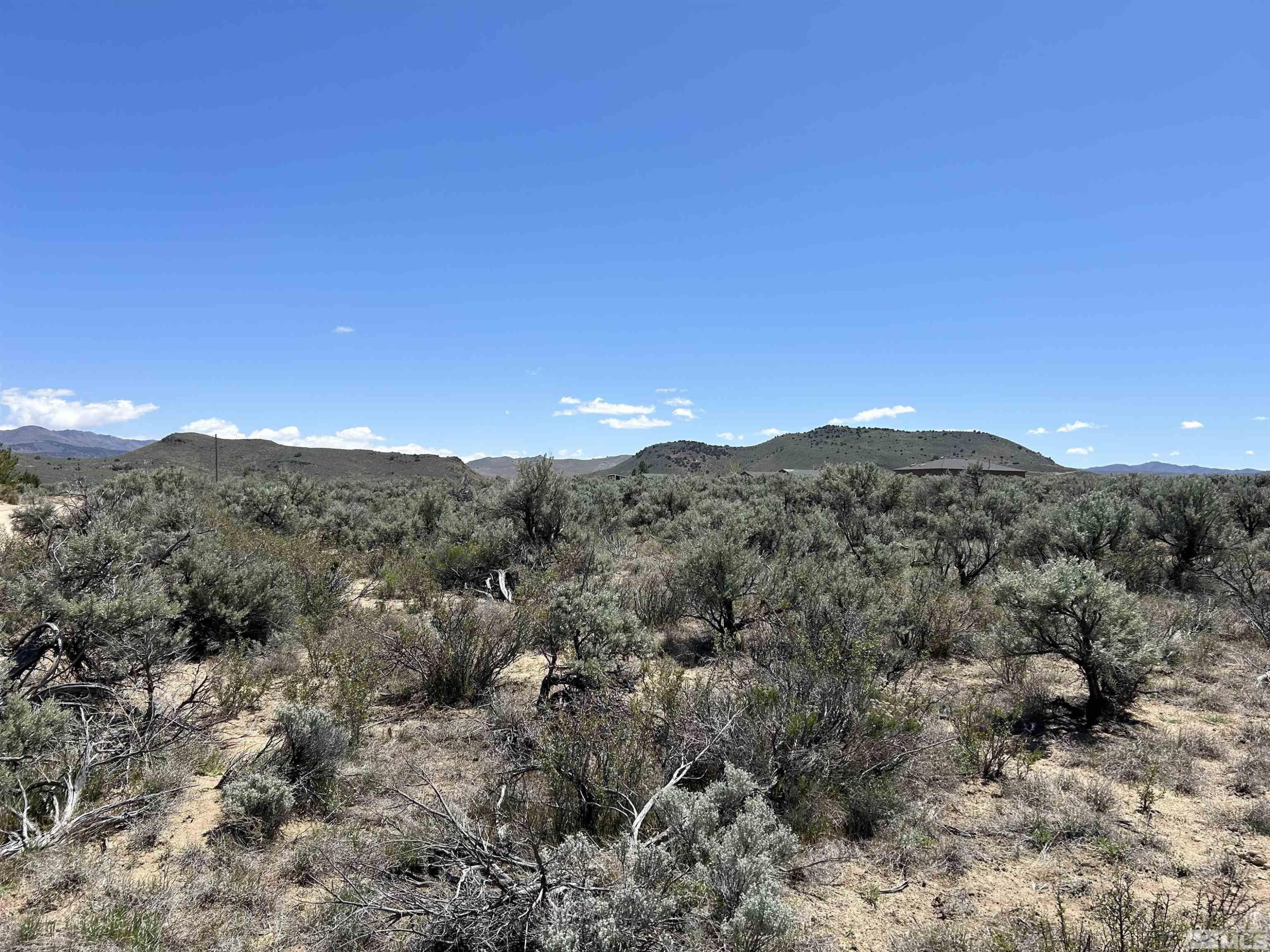 22905 Fetlock Drive Reno, NV 89508 - Photo 18 of 18 a view of a mountain range with trees in the background