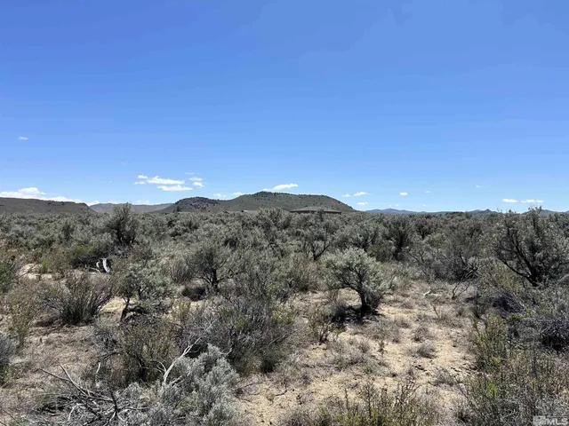 a view of a mountain range with trees in the background