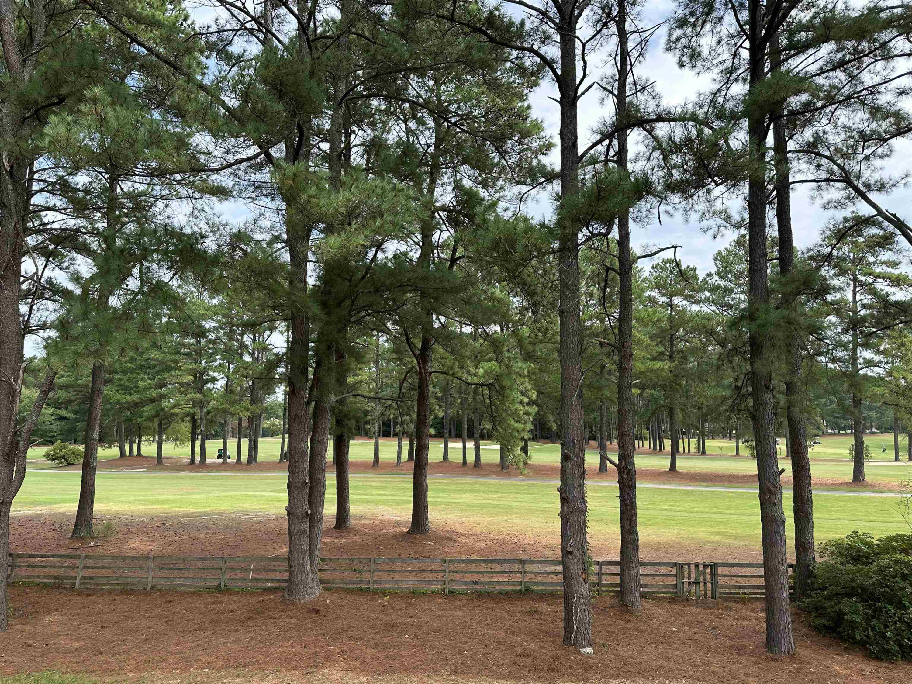 3420 East Garner Road Clayton, NC 27520 - Photo 30 of 30 a view of a park