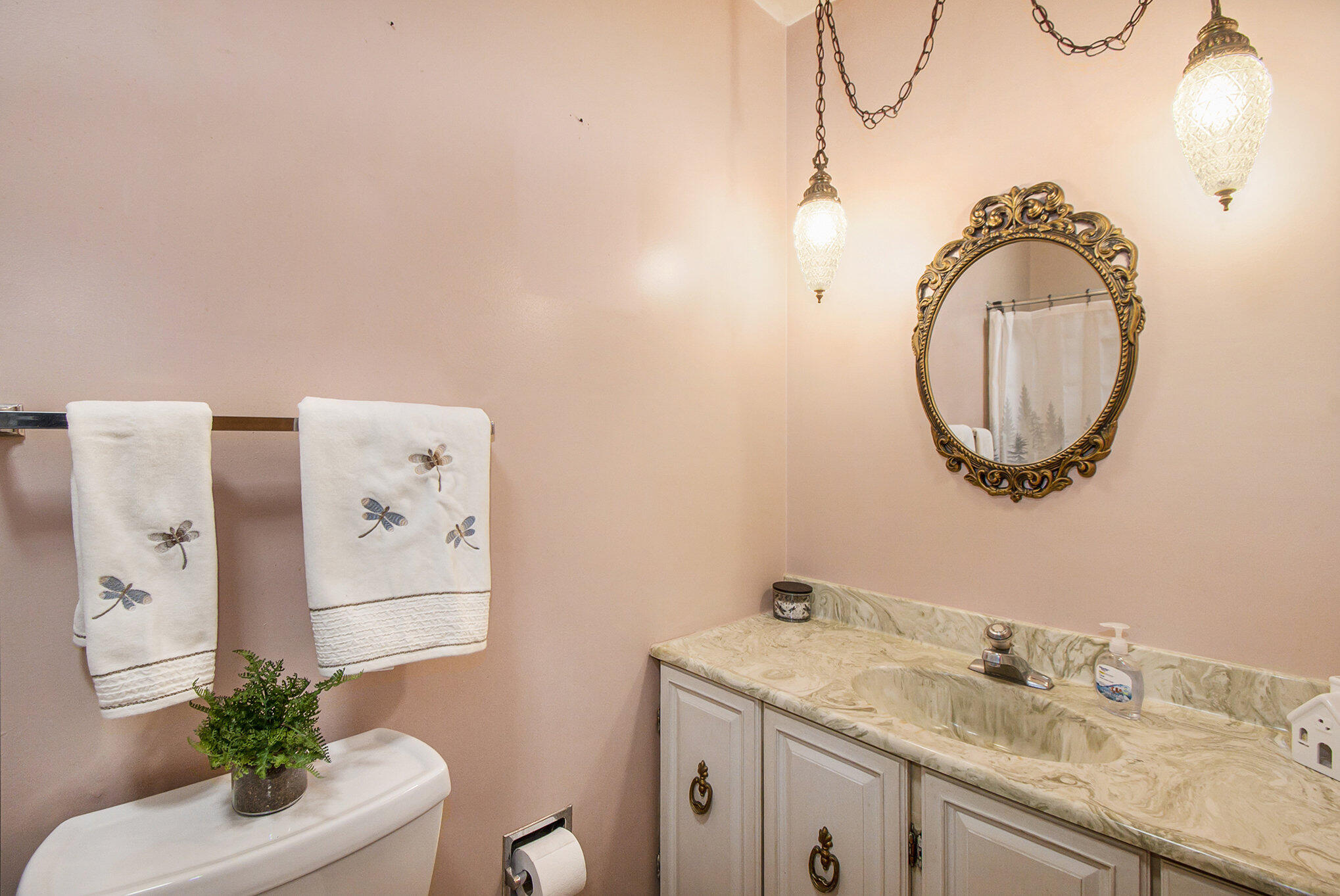 2014 Plains Road Leslie, MI 49251 - Photo 22 of 45 021_ndp3126