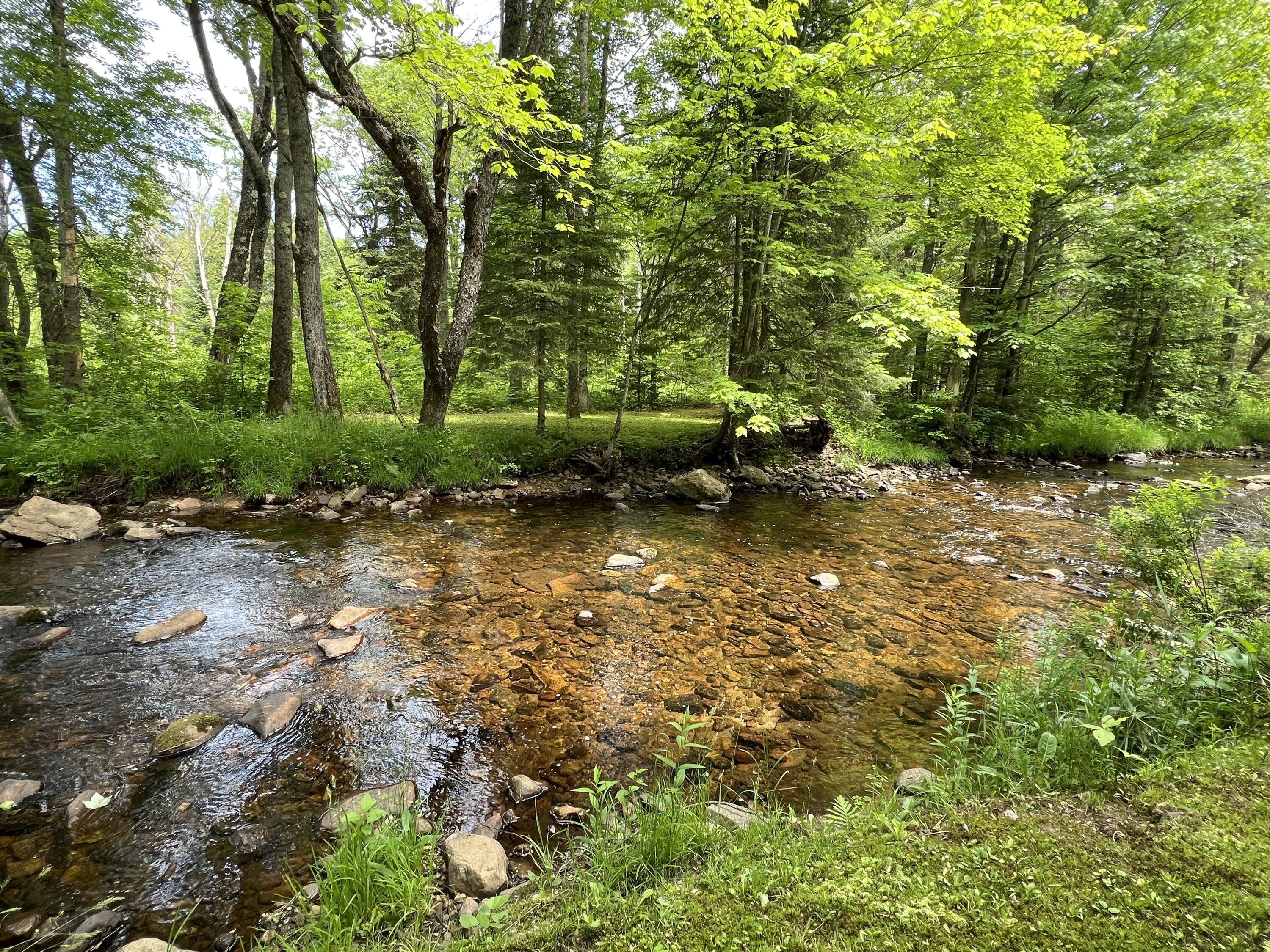 0 Bunker Hill Road Chateaugay, NY 12920 - Photo 24 of 42