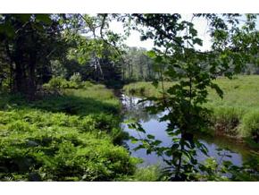 300 Penacook Road North Sutton, NH 03260 - Photo 2 of 3 Gallery Image 2