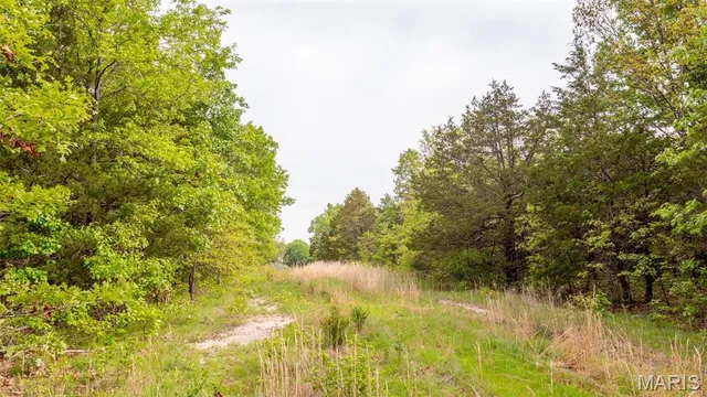 $505,750 | -tract #3 Tract, Owensville, MO 65066