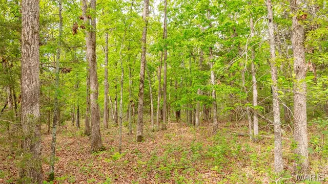 $505,750 | -tract #3 Tract, Owensville, MO 65066