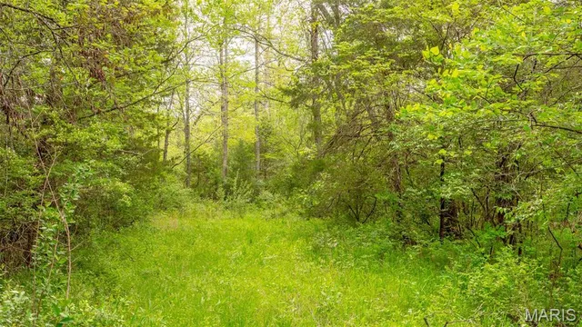 $505,750 | -tract #3 Tract, Owensville, MO 65066