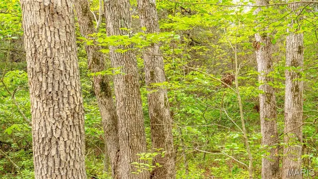 $505,750 | -tract #3 Tract, Owensville, MO 65066