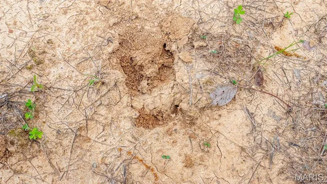 $505,750 | -tract #3 Tract, Owensville, MO 65066