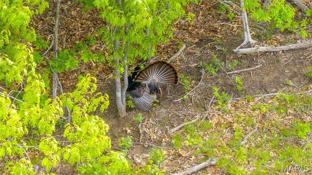 $505,750 | -tract #3 Tract, Owensville, MO 65066