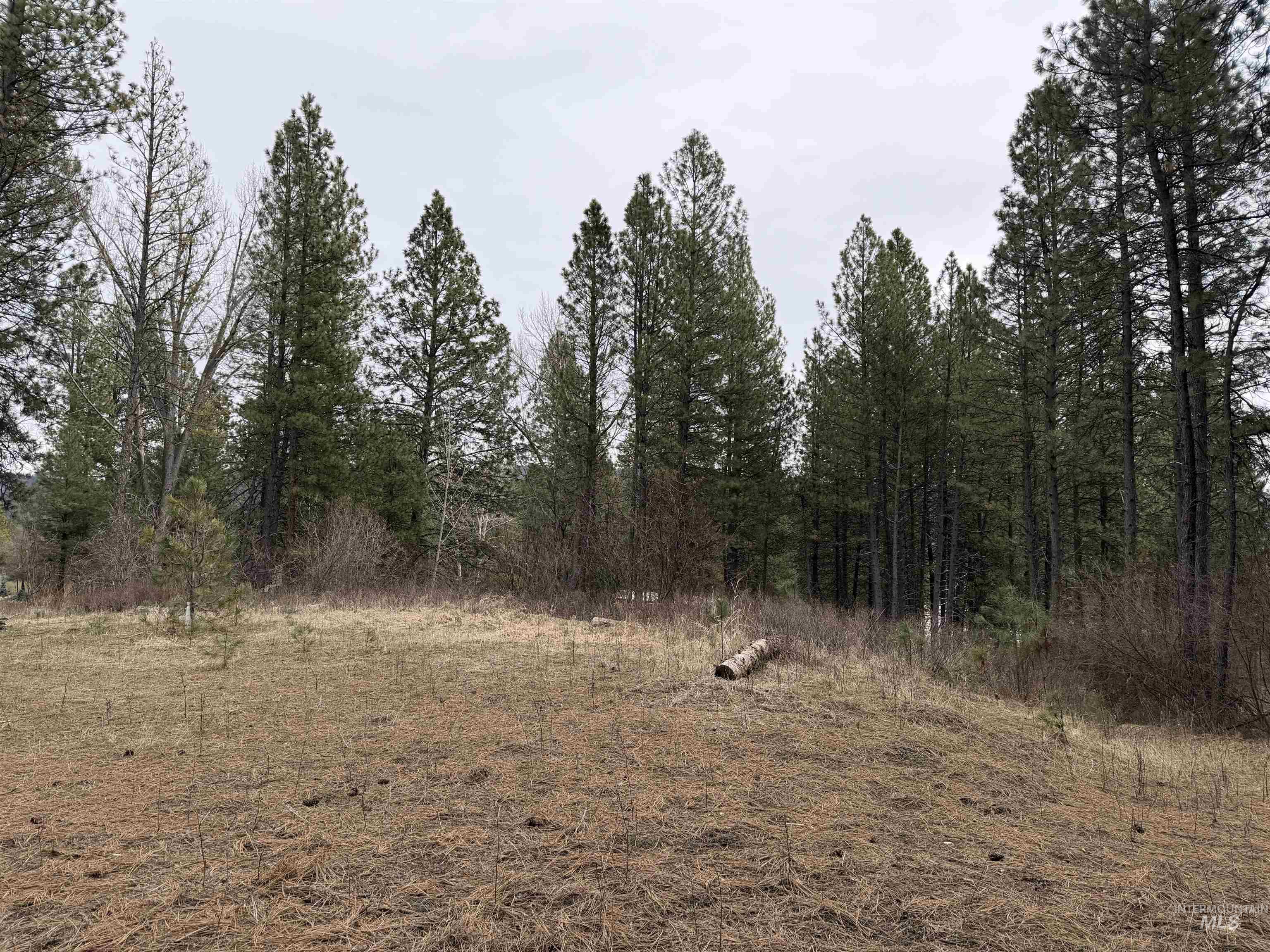 Parcel B South Middlefork Road Garden Valley, ID 83622 - Photo 4 of 12 View of nature