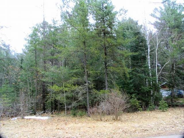 Lot On Robin Lane Elcho, WI 54428 - Photo 3 of 6 Gallery Image 3