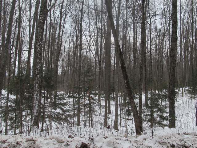 On Enterprise Lake Road, Unit 21 ACRES Elcho, WI 54428 - Photo 3 of 5 Gallery Image 3