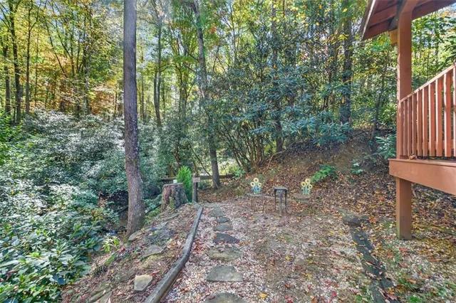 a view of a forest filled with trees